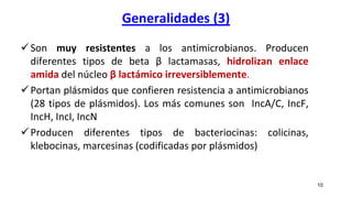 Generalidades (3)
Son muy resistentes a los antimicrobianos. Producen
diferentes tipos de beta β lactamasas, hidrolizan enlace
amida del núcleo β lactámico irreversiblemente.
Portan plásmidos que confieren resistencia a antimicrobianos
(28 tipos de plásmidos). Los más comunes son IncA/C, IncF,
IncH, IncI, IncN
Producen diferentes tipos de bacteriocinas: colicinas,
klebocinas, marcesinas (codificadas por plásmidos)
10
 