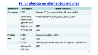 Fs. virulencia en elementos móviles
15
Elemento Patógeno Factor virulencia
Plásmidos ECET Toxinas: ST (termoestable) – LT (termolábil)
Salmonella
enterica Ser.
typhimurium
Proteínas: SpvA, SpvB, SpvC, SpvD, SpvR
Shigella spp SST3
Yersinia spp SST3
Profago ECEH Toxina Shiga Like. SST3
PAI ECEP SST3
ECUP Fimbrias, sistema captación Fe, cápsula ,hemolisina
Salmonella
enterica
SST3
 