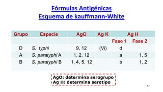 Fórmulas Antigénicas
Esquema de kauffmann-White
17
Grupo Especie AgO Ag K Ag H
Fase 1 Fase 2
D S. typhi 9, 12 (Vi) d
A S. paratyphi A 1, 2, 12 a 1, 5
B S. paratyphi B 1, 4, 5, 12 b 1, 2
AgO: determina serogrupo
Ag H: determina serotipo
 