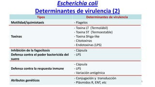 Escherichia coli
Determinantes de virulencia (2)
25
Tipos Determinantes de virulencia
Motilidad/quimiotaxis - Flagelos
Toxinas
- Toxina LT (Termolábil)
- Toxina ST (Termoestable)
- Toxina Shiga-like
- Citotoxinas
- Endotoxinas (LPS)
Inhibición de la fagocitosis
Defensa contra el poder bactericida del
suero
- Cápsula
- LPS
Defensa contra la respuesta inmune
- Cápsula
- LPS
- Variación antigénica
Atributos genéticos
- Conjugación y transducción
- Plásmidos R, ENT, etc
 