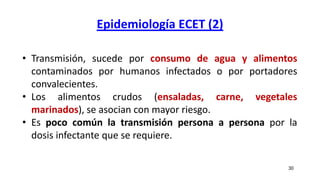 Epidemiología ECET (2)
30
• Transmisión, sucede por consumo de agua y alimentos
contaminados por humanos infectados o por portadores
convalecientes.
• Los alimentos crudos (ensaladas, carne, vegetales
marinados), se asocian con mayor riesgo.
• Es poco común la transmisión persona a persona por la
dosis infectante que se requiere.
 