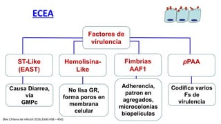 ECEA
Factores de
virulencia
pPAA
Fimbrias
AAF1
Hemolisina-
Like
ST-Like
(EAST)
Codifica varios
Fs de
virulencia
Adherencia,
patron en
agregados,
microcolonias
biopelículas
No lisa GR,
forma poros en
membrana
celular
Causa Diarrea,
via
GMPc
(Rev Chilena de infectol 2016;33(4):438 – 450)
 
