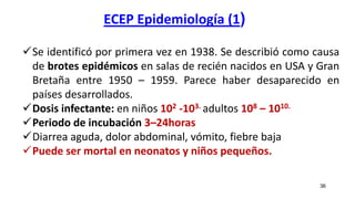 ECEP Epidemiología (1)
36
Se identificó por primera vez en 1938. Se describió como causa
de brotes epidémicos en salas de recién nacidos en USA y Gran
Bretaña entre 1950 – 1959. Parece haber desaparecido en
países desarrollados.
Dosis infectante: en niños 102 -103. adultos 108 – 1010.
Periodo de incubación 3–24horas
Diarrea aguda, dolor abdominal, vómito, fiebre baja
Puede ser mortal en neonatos y niños pequeños.
 