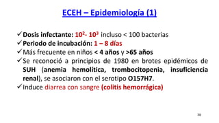 ECEH – Epidemiología (1)
39
Dosis infectante: 102- 103 incluso < 100 bacterias
Periodo de incubación: 1 – 8 días
Más frecuente en niños < 4 años y >65 años
Se reconoció a principios de 1980 en brotes epidémicos de
SUH (anemia hemolítica, trombocitopenia, insuficiencia
renal), se asociaron con el serotipo O157H7.
Induce diarrea con sangre (colitis hemorrágica)
 