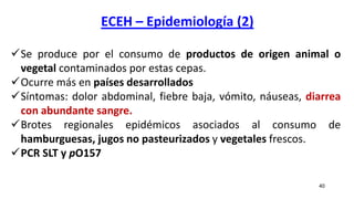 ECEH – Epidemiología (2)
40
Se produce por el consumo de productos de origen animal o
vegetal contaminados por estas cepas.
Ocurre más en países desarrollados
Síntomas: dolor abdominal, fiebre baja, vómito, náuseas, diarrea
con abundante sangre.
Brotes regionales epidémicos asociados al consumo de
hamburguesas, jugos no pasteurizados y vegetales frescos.
PCR SLT y pO157
 