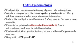 ECAD- Epidemiología
45
Es el patotipo menos caracterizado y el grupo más heterogéneo.
Asociada con procesos diarreicos agudos y persistente en niños y
adultos, quienes pueden ser portadores asintomáticos
Induce diarrea líquida en niños de 4 a 5 años, pero su frecuencia no es
muy alta
Presenta un patrón de adherencia difuso (Aida 1). Forma
microcolonias en forma de ladrillos apilados
Produce citotoxinas y enterotoxinas, produce inflamación grave de la
mucosa.
Diagnóstico: PCR para F1845.
 
