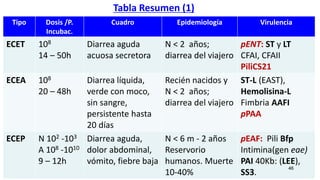 Tipo Dosis /P.
Incubac.
Cuadro Epidemiología Virulencia
ECET 108
14 – 50h
Diarrea aguda
acuosa secretora
N < 2 años;
diarrea del viajero
pENT: ST y LT
CFAI, CFAII
PiliCS21
ECEA 108
20 – 48h
Diarrea líquida,
verde con moco,
sin sangre,
persistente hasta
20 días
Recién nacidos y
N < 2 años;
diarrea del viajero
ST-L (EAST),
Hemolisina-L
Fimbria AAFI
pPAA
ECEP N 102 -103
A 108 -1010
9 – 12h
Diarrea aguda,
dolor abdominal,
vómito, fiebre baja
N < 6 m - 2 años
Reservorio
humanos. Muerte
10-40%
pEAF: Pili Bfp
Intimina(gen eae)
PAI 40Kb: (LEE),
SS3.
Tabla Resumen (1)
46
 