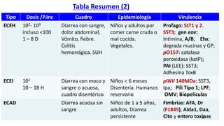 Tipo Dosis /P.Inc Cuadro Epidemiología Virulencia
ECEH 102- 103
incluso <100
1 – 8 D
Diarrea con sangre,
dolor abdominal,
Vómito, fiebre.
Colitis
hemorrágica. SUH
Niños y adultos por
comer carne cruda o
mal cocida.
Vegetales.
Profago: SLT1 y 2.
SST3; gen eae:
Intimina, A/B; Ehx:
degrada mucinas y GP;
pO157: catalasa
peroxidasa (katP);
PAI (LEE): SST3;
Adhesina ToxB
ECEI 102
10 – 18 H
Diarrea con moco y
sangre o acuosa,
cuadro disentérico
Niños < 6 meses
Disentería. Humanos
reservorio
pINV 140MDa: SST3,
Ipa; Pili Tipo 1; LPF;
OMV; Biopelículas
ECAD Diarrea acuosa sin
sangre
Niños de 1 a 5 años,
adultos, Diarrea
persistente
Fimbrias: AFA, Dr
(F1845), Aida1, Daa,
Cito y entero toxinas
Tabla Resumen (2)
47
 