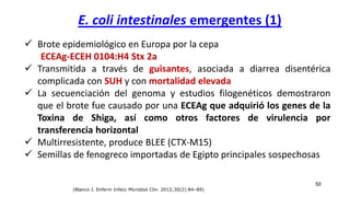 E. coli intestinales emergentes (1)
50
 Brote epidemiológico en Europa por la cepa
ECEAg-ECEH 0104:H4 Stx 2a
 Transmitida a través de guisantes, asociada a diarrea disentérica
complicada con SUH y con mortalidad elevada
 La secuenciación del genoma y estudios filogenéticos demostraron
que el brote fue causado por una ECEAg que adquirió los genes de la
Toxina de Shiga, así como otros factores de virulencia por
transferencia horizontal
 Multirresistente, produce BLEE (CTX-M15)
 Semillas de fenogreco importadas de Egipto principales sospechosas
(Blanco J. Enferm Infecc Microbiol Clin. 2012;30(2):84–89)
 