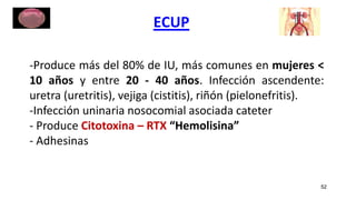 ECUP
52
-Produce más del 80% de IU, más comunes en mujeres <
10 años y entre 20 - 40 años. Infección ascendente:
uretra (uretritis), vejiga (cistitis), riñón (pielonefritis).
-Infección uninaria nosocomial asociada cateter
- Produce Citotoxina – RTX “Hemolisina”
- Adhesinas
 