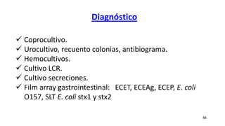 Diagnóstico
56
 Coprocultivo.
 Urocultivo, recuento colonias, antibiograma.
 Hemocultivos.
 Cultivo LCR.
 Cultivo secreciones.
 Film array gastrointestinal: ECET, ECEAg, ECEP, E. coli
O157, SLT E. coli stx1 y stx2
 