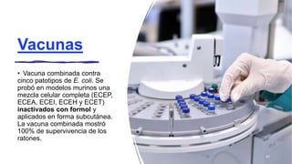 Vacunas
• Vacuna combinada contra
cinco patotipos de E. coli. Se
probó en modelos murinos una
mezcla celular completa (ECEP,
ECEA, ECEI, ECEH y ECET)
inactivados con formol y
aplicados en forma subcutánea.
La vacuna combinada mostró
100% de supervivencia de los
ratones.
62
 