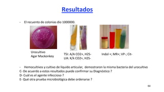 Resultados
64
- El recuento de colonias dio 1000000.
- Hemocultivos y cultivo de líquido articular, demostraron la misma bacteria del urocultivo
C- De acuerdo a estos resultados puede confirmar su Diagnóstico ?
D- Cuál es el agente infeccioso ?
E- Qué otra prueba microbiológica debe ordenarse ?
Urocultivo
Agar Mackonkey
Indol +; MR+; VP-; Cit-
TSI: A/A CO2+, H2S-
LIA: K/k CO2+, H2S-
 