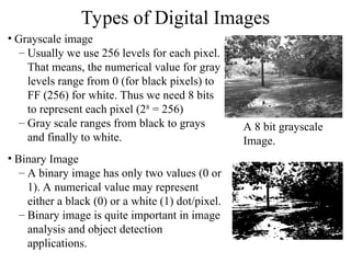Grayscale Levels Multimedia Information Systems in Information Technology | PPT
