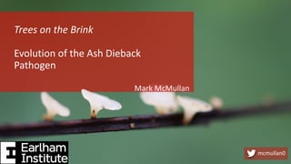 Mark McMullan
Trees on the Brink
Evolution of the Ash Dieback
Pathogen
mcmullan0
 