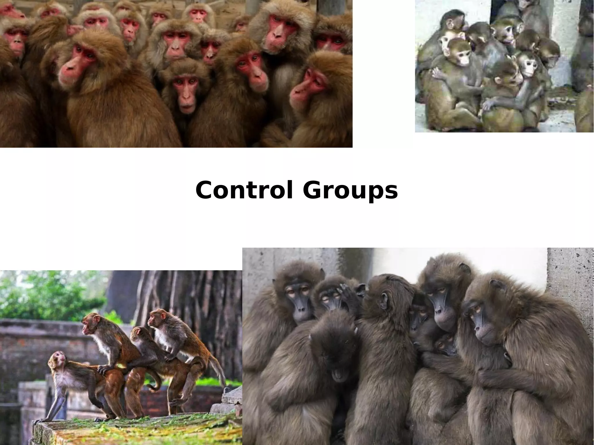 Control Groups
 