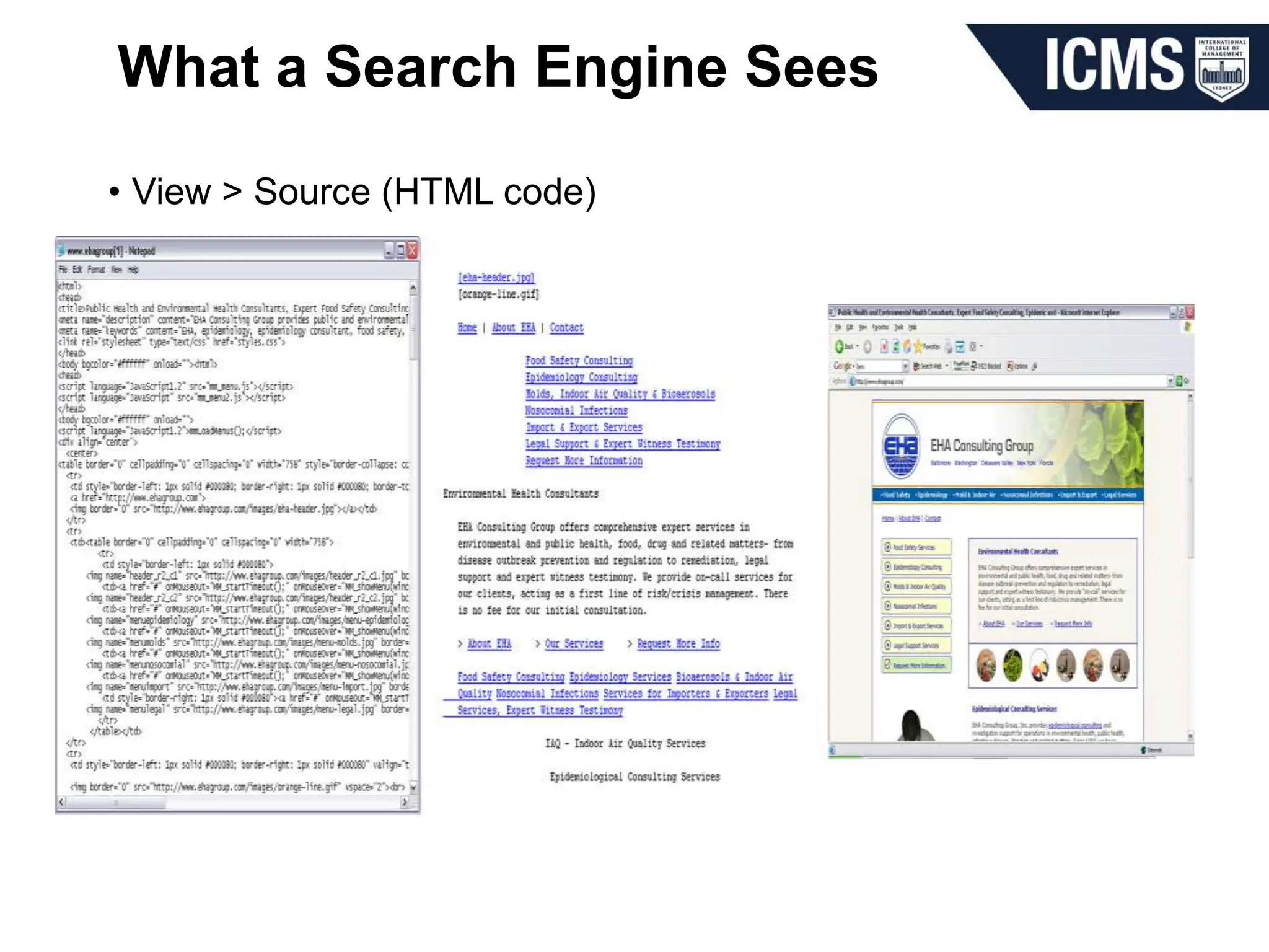 What a Search Engine Sees
• View > Source (HTML code)
 