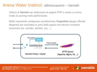 Arena Water Instinct: architettura di sistema (update)
ALESSANDRO MONTALTI Gestione di un multi-store internazionale … : i...