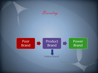 Hollow Brand 
 