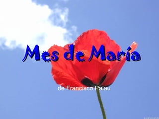 Mes de MaríaMes de María
de Francisco Palau
 