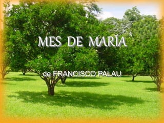 MES DE MARÍA
de FRANCISCO PALAU
 