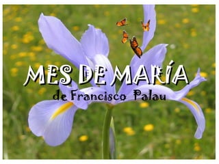 MES DE MARÍAMES DE MARÍA
de Francisco Palau
 