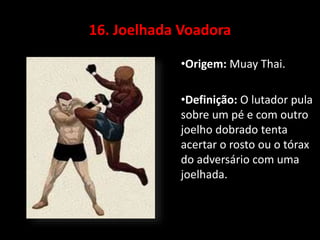 16. Joelhada Voadora 
•Origem: Muay Thai. 
•Definição: O lutador pula 
sobre um pé e com outro 
joelho dobrado tenta 
acertar o rosto ou o tórax 
do adversário com uma 
joelhada. 
 