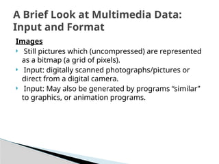 Bitmap Examples Multimedia MultimediaSystem_Sistemamultimedia_.pptx
