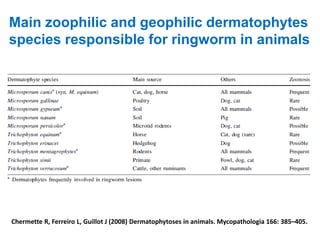 Main zoophilic and geophilic dermatophytes
species responsible for ringworm in animals
Chermette R, Ferreiro L, Guillot J (2008) Dermatophytoses in animals. Mycopathologia 166: 385–405.
 