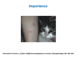 Importance
Chermette R, Ferreiro L, Guillot J (2008) Dermatophytoses in animals. Mycopathologia 166: 385–405.
 