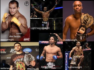 heavyweight
Light heavyweight
middleweight
welterweight
lightweight featherweight
 