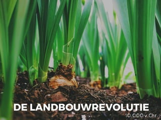 DE LANDBOUWREVOLUTIE
10.000v.Chr.
 