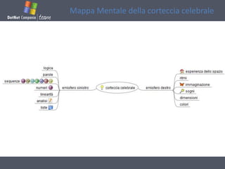Mappa Mentale della corteccia celebrale
 