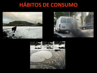 HÁBITOS DE CONSUMO 