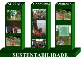 SOCIAL FINANCEIRA AMBIENTAL SUSTENTABILIDADE 