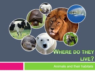 Animals and their habitats
 
