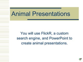 Animal Presentations You will use FlickR, a custom search engine, and PowerPoint to create animal presentations. 