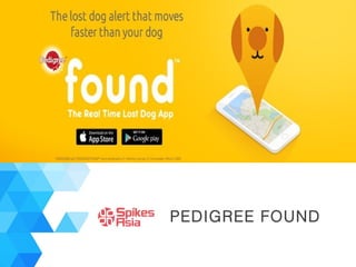 PEDIGREE FOUND
 