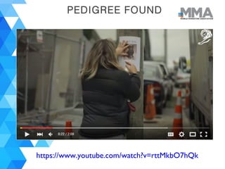 PEDIGREE FOUND
https://www.youtube.com/watch?v=rttMkbO7hQk
 