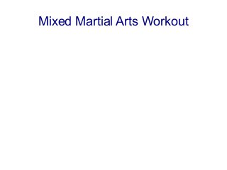 Mixed Martial Arts Workout
 