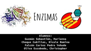 Enzimas
Alumnos:
Guzmán Sebastián, Marianna
Choque Cubillas, Nicole Romina
Falcón Cortez Pedro Yehude
Oliva Escobedo, Christopher
 
