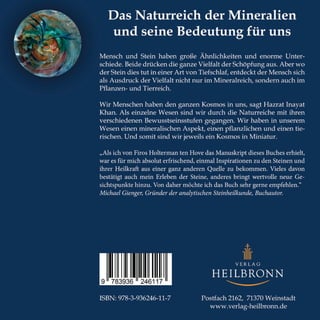 Die Seele der Steine von Firos Holterman ten Hove (Leseprobe)