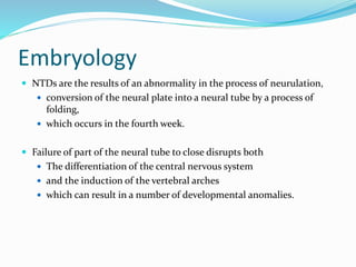 Embryology
 NTDs are the results of an abnormality in the process of neurulation,
 conversion of the neural plate into a neural tube by a process of
folding,
 which occurs in the fourth week.
 Failure of part of the neural tube to close disrupts both
 The differentiation of the central nervous system
 and the induction of the vertebral arches
 which can result in a number of developmental anomalies.
 