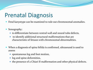 Prenatal Diagnosis
 Fetal karyotype can be examined to rule out chromosomal anomalies.
 Sonography:
 to differentiate between ventral wall and neural tube defects,
 to identify additional structural malformations that are
characteristic of fetuses with chromosomal abnormalities.
 When a diagnosis of spina bifida is confirmed, ultrasound is used to
assess
 spontaneous leg and foot motion,
 leg and spine deformities,
 the presence of a Chiari II malformation and other physical defects.
 