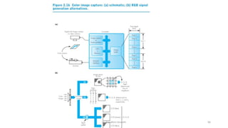 Dr. Nandhini Vineeth 96
 