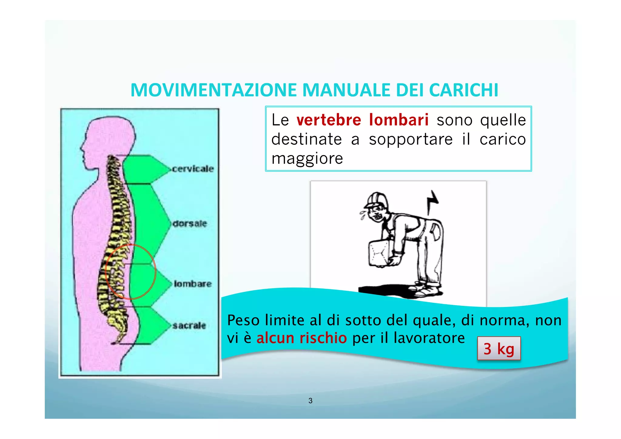3
Le vertebre lombari sono quelle
destinate a sopportare il carico
maggiore
Peso limite al di sotto del quale, di norma, non
vi è alcun rischio per il lavoratore
3 kg
MOVIMENTAZIONE	
  MANUALE	
  DEI	
  CARICHI	
  
 