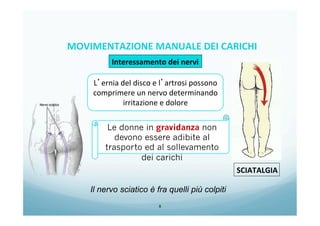 8
SCIATALGIA	
  
L’ernia	
  del	
  disco	
  e	
  l’artrosi	
  possono	
  
comprimere	
  un	
  nervo	
  determinando	
  
irritazione	
  e	
  dolore	
  
Il nervo sciatico è fra quelli più colpiti
Interessamento	
  dei	
  nervi	
  
Le donne in gravidanza non
devono essere adibite al
trasporto ed al sollevamento
dei carichi
MOVIMENTAZIONE	
  MANUALE	
  DEI	
  CARICHI	
  
 
