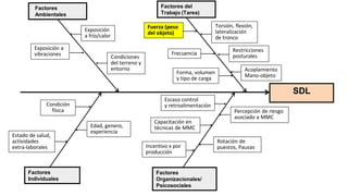 Factores
Individuales
Factores
Organizacionales/
Psicosociales
SDL
Factores
Ambientales
Capacitación en
técnicas de MMC
Escaso control
y retroalimentación
Exposición a
vibraciones
Restricciones
posturales
Frecuencia
Torsión, flexión,
lateralización
de tronco
Percepción de riesgo
asociado a MMC
Condiciones
del terreno y
entorno
Rotación de
puestos, Pausas
Estado de salud,
actividades
extra-laborales
Edad, genero,
experiencia
Fuerza (peso
del objeto)
Condición
física
Acoplamiento
Mano-objeto
Exposición
a frío/calor
Factores del
Trabajo (Tarea)
Incentivo x por
producción
Forma, volumen
y tipo de carga
 