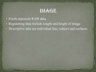  Pixels represent RAW data.
 Registering data include length and height of image.
 Descriptive data are individual line, subject and surfaces.
 