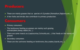 Producers
 These are mainly grasses that as species of (Cynodon,Dismodium,Digitaria,etc..)
 A few forbs and shrubs also contribute to primary production.
Consumers
 Primary consumers
 The herbivores feeding on grasses are mainly such grazing
animals(deer,sheep,rabbit,etc..)
 There are some insects as (Leptocorisa,Cicincella,etc..) that feeds on the leaves of
grasses
 Secondary consumers
 These are the canivores feeding on herbivores.(fox,snakes,lizards,etc..)
5
 
